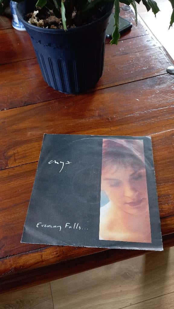 Vinyl (45t) enya "evening falls", Ophalen, 1980 - 1989, Gebruikt