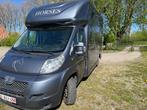 Peugeot Boxer Paardenwagen, Dieren en Toebehoren, Ophalen, Gebruikt, Overige materialen, 2-paards trailer