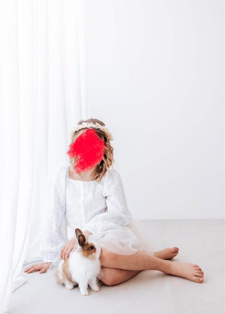 Konijntjes, Animaux & Accessoires, Lapins