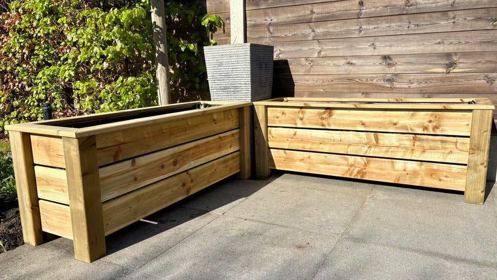 belles fleurs de pin, plantes, boîtes à herbes, Jardin & Terrasse, Neuf, 30 à 60 cm, Enlèvement, Intérieur