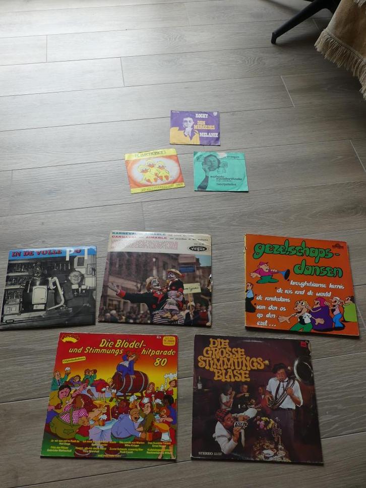 Drink- en feestliederen, Cd's en Dvd's, Vinyl Singles, Gebruikt, Overige typen, Overige genres, 12 inch, Ophalen of Verzenden