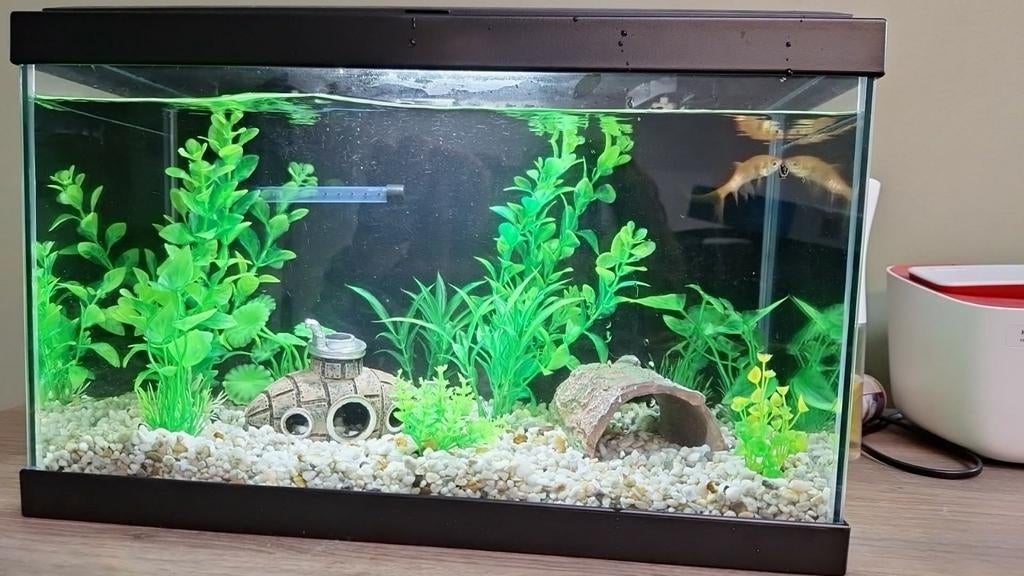 Ciano aquarium 20l, Dieren en Toebehoren, Ophalen, Pomp, Filter