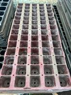 stekplaat plantplaat zaaiplaat 70 plantgaten, Enlèvement ou Envoi, Moins de 25 cm, Comme neuf, Synthétique