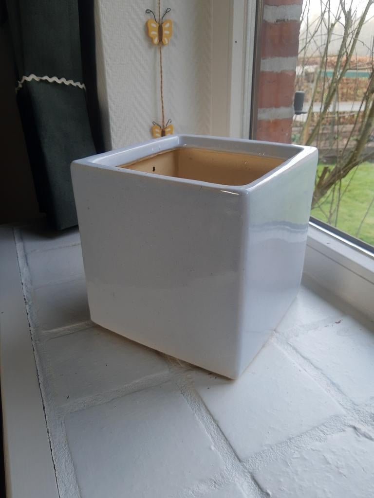 Planten/bloempot porselein, Ophalen