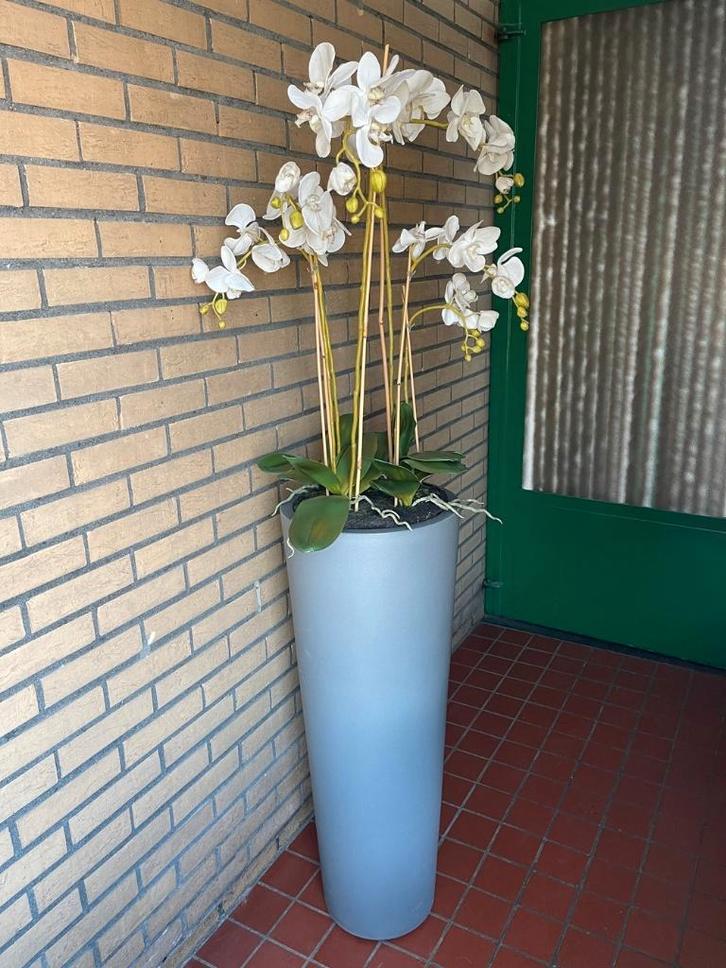 Witte zijden kunstorchidee in hoge pot, Huis en Inrichting, Woonaccessoires | Kunstplanten en Kunstbloemen, Gebruikt, Binnen, Ophalen