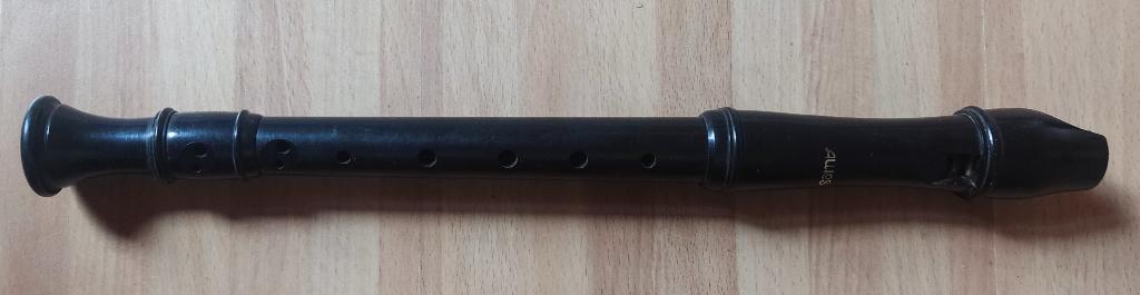 Blokfluit Aulos, Muziek en Instrumenten, Ophalen of Verzenden, Gebruikt, Overige typen