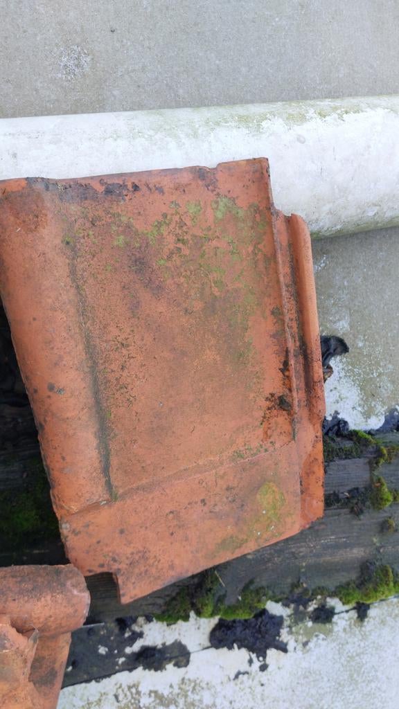 Dakpannen  rood, Enlèvement, Rouge, Tuiles