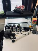 Aquarium 65L + alle toebehoren, Dieren en Toebehoren, Ophalen, Zo goed als nieuw, Gevuld zoetwateraquarium