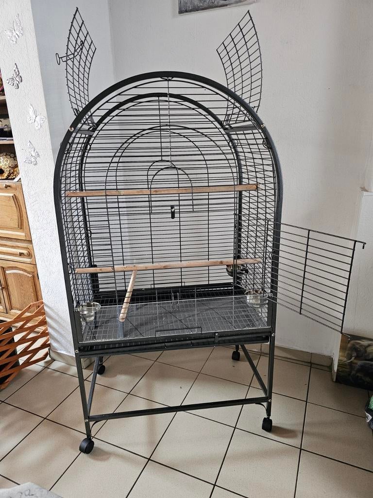 Grande Cage perroquets grande perruche