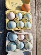 Broedeieren cream legbar + olijflegger, Dieren en Toebehoren