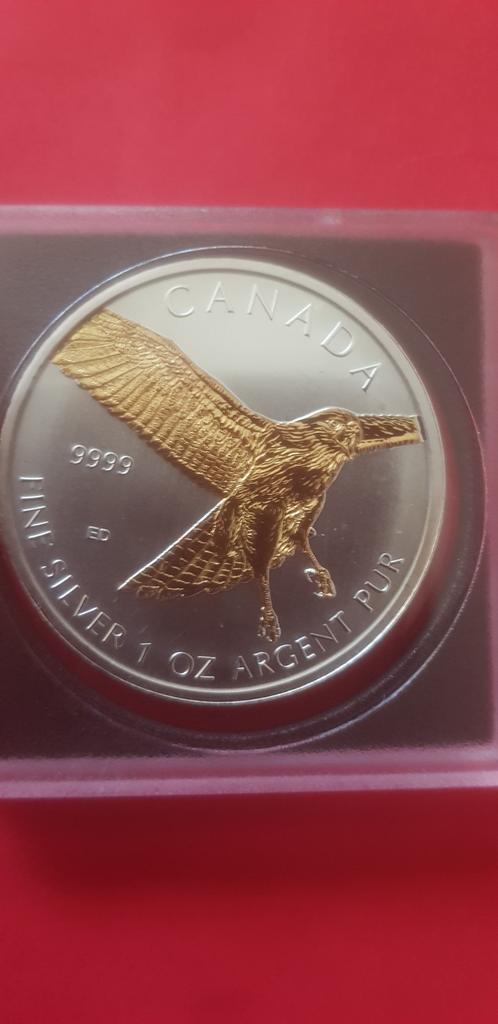 Red -Tailed hawk uit 2015  (one ounce) zilver, Ophalen of Verzenden, Zilver
