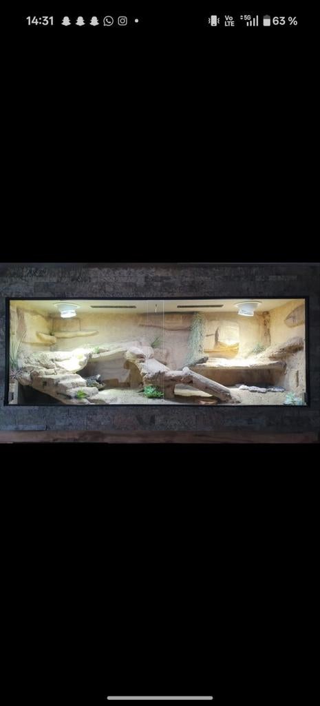 Terrarium 170 x 67 x 82 cm, Enlèvement, Utilisé, Terrarium ou Paludarium