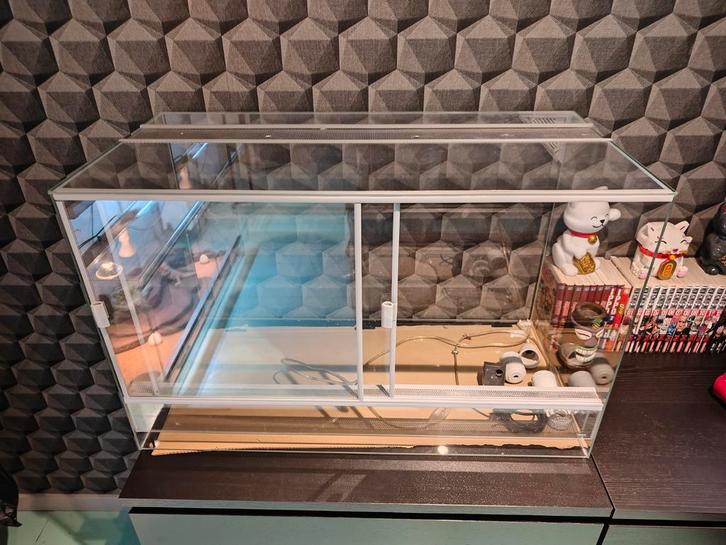 Terrarium, Dieren en Toebehoren, Knaagdieren en Konijnen | Hokken en Kooien, Ophalen