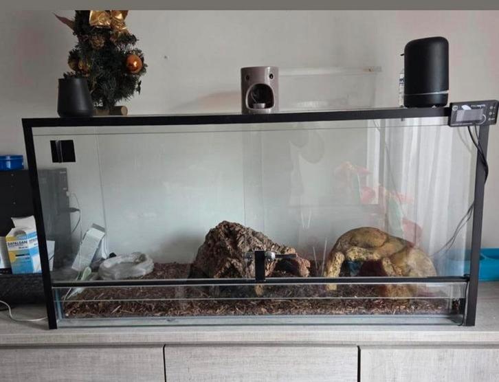 Terrarium serpent avec tout, Dieren en Toebehoren, Knaagdieren en Konijnen | Hokken en Kooien, Ophalen