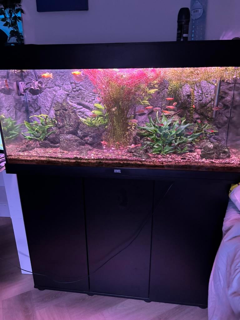 JUWEL Rio 180 aquarium with cupboard 150€ see description, Animaux & Accessoires, Poissons | Aquariums & Accessoires, Comme neuf