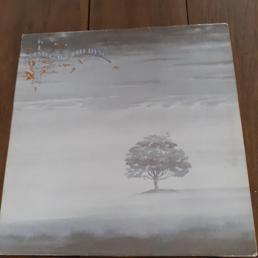 LP Genesis, Enlèvement, Utilisé, Pop rock