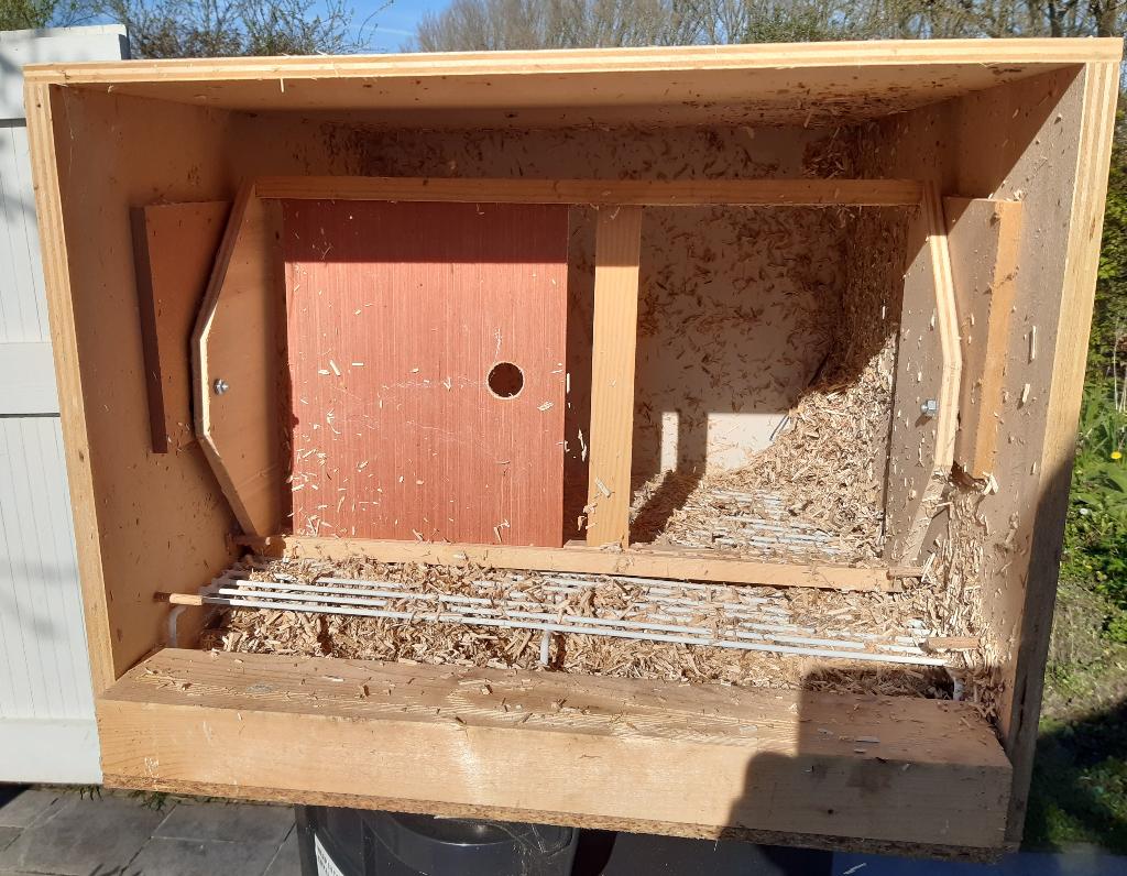 Pigeonnier, Animaux & Accessoires, Sexe inconnu, Pigeon voyageur