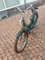 Sparta Matić, Enlèvement, Sparta