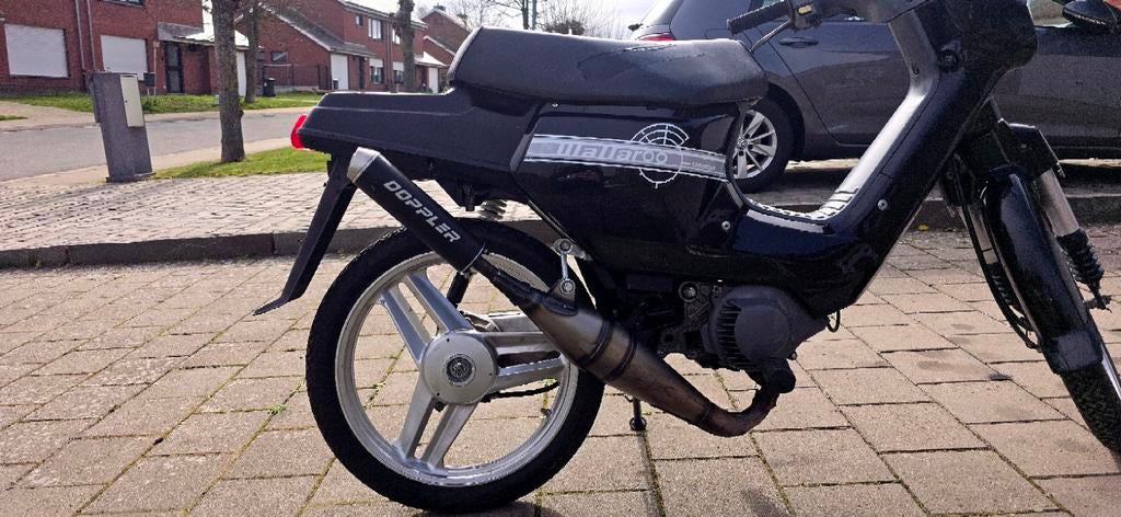 Honda Wallaroo Classe A avec 70cc   €900 prix fixe, Vélos & Vélomoteurs, Cyclomoteurs | Honda, Enlèvement