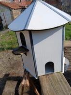 Duivenhok, Dieren en Toebehoren, Vogels | Duiven