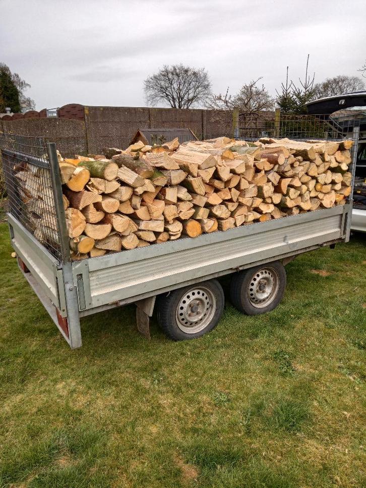 Brandhout, Tuin en Terras, Brandhout, Blokken, Overige houtsoorten, 6 m³ of meer, Ophalen of Verzenden