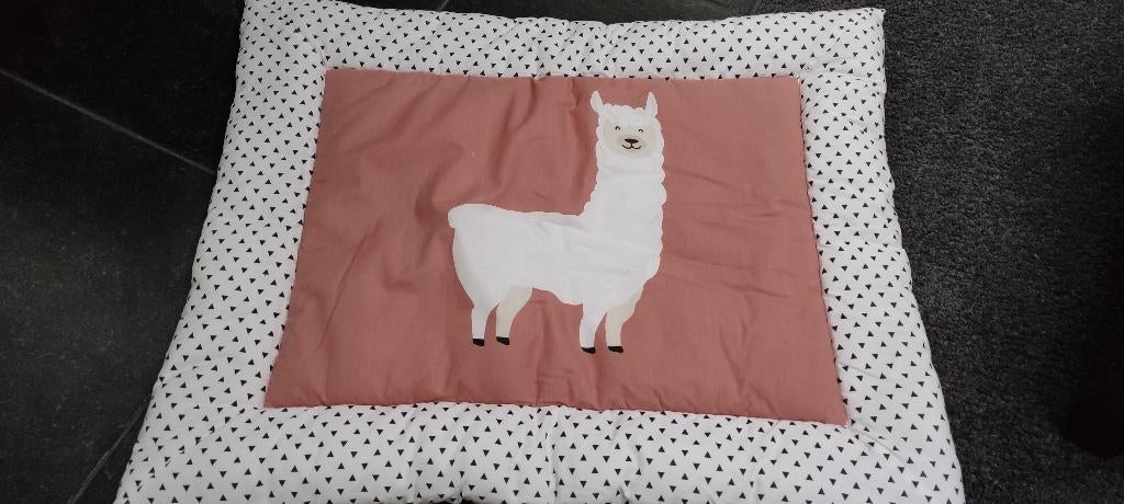Baby speelmat/kussen, Kinderen en Baby's, Ophalen, Zo goed als nieuw