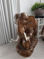 Houten olifant groot uit massief stuk mahoniehout kunst, Enlèvement