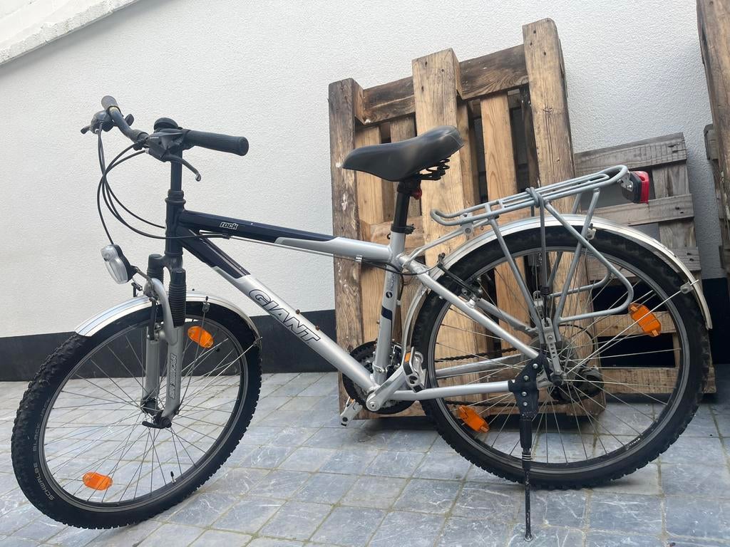 Mountainbike, Fietsen en Brommers, Ophalen, Gebruikt, Giant
