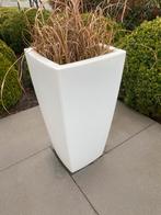 Elho bloempot, 75 cm hoogte, Synthétique, Enlèvement, Utilisé, Intérieur