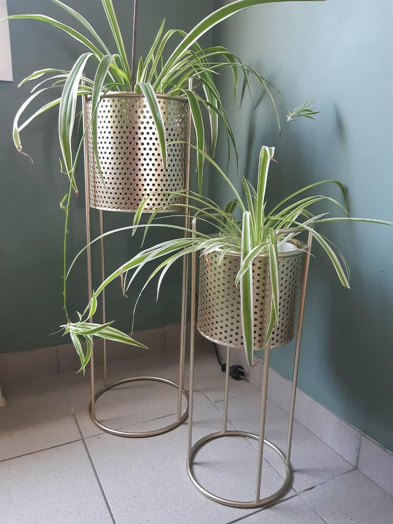 Set planten houder, Ophalen of Verzenden, Nieuw, Metaal, Binnen