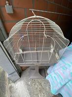 Vogelkooi, Ophalen of Verzenden