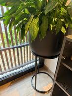 Bloempot+staander+plant, Tuin en Terras, Ophalen, Zo goed als nieuw, Binnen