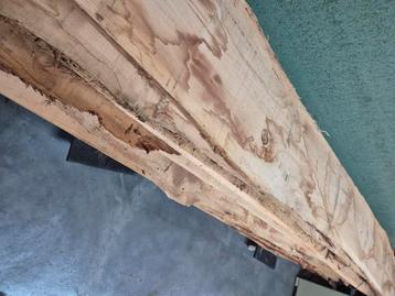 Eiken schaaldelen boomstamplanken  beschikbaar voor biedingen