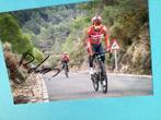 wielerfoto 2022 thomas de gendt signe, Verzenden, Zo goed als nieuw