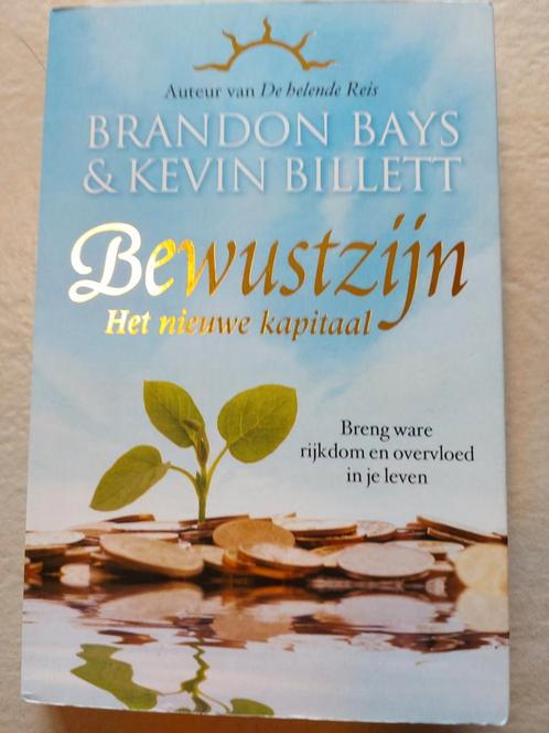 Brandon Bays - Bewustzijn, Boeken, Wetenschap, Zo goed als nieuw, Ophalen of Verzenden