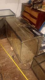 terrarium, Dieren en Toebehoren, Reptielen en Amfibieën | Toebehoren, Ophalen, Gebruikt, Terrarium of Paludarium