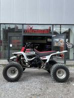 Yamaha Banshee 350, Motoren, Meer dan 35 kW, 350 cc