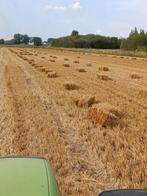 Nieuw tarwe stro in kleine balen, Zakelijke goederen, Ophalen