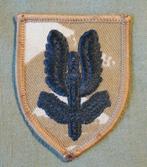 ECUSSON  PARA. ( Version désert ), Emblème ou Badge, Armée de terre, Envoi