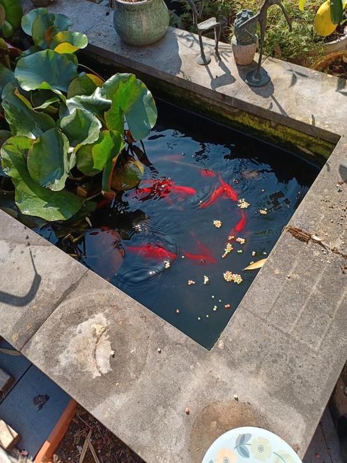 Vijverbak met blauwe steen, Tuin en Terras, Vijvers, Gebruikt, Ophalen