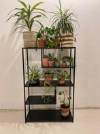 Mooi zwart kastje, Huis en Inrichting, Kasten | Wandmeubels, Ophalen, Zo goed als nieuw