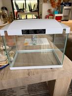 20L Aquarium met Accessoires, Animaux & Accessoires, Poissons | Aquariums & Accessoires, Enlèvement, Utilisé, Aquarium vide