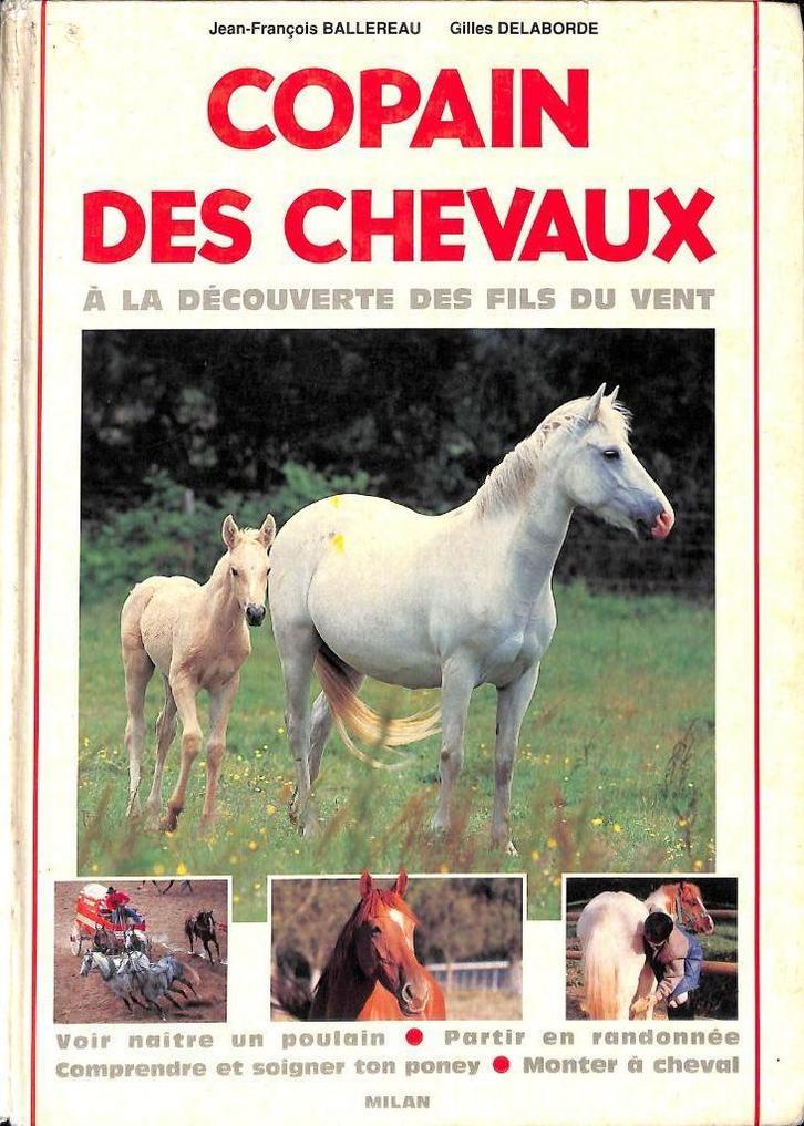 Lot 4 boeken over paarden - paardrijden en gedrag., Boeken, Dieren en Huisdieren, Gelezen, Paarden of Pony's, Ophalen of Verzenden