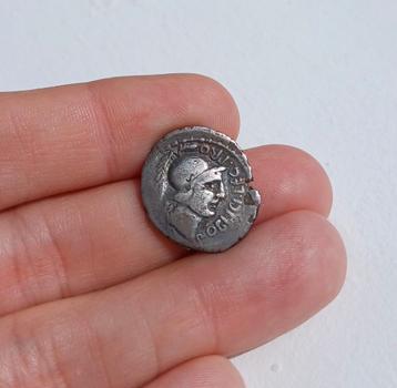 Gnaeus Pompeius denarius, zilveren Romeinse munt beschikbaar voor biedingen