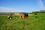 Trespa Kippenhok / Farm Evolution 3XL - Cucciolotta, Dieren en Toebehoren, Ophalen of Verzenden, Nieuw, Kippenhok of Kippenren