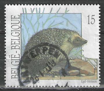 Belgie 1992 - Yvert/OBP 2479 - Egel (ST) beschikbaar voor biedingen