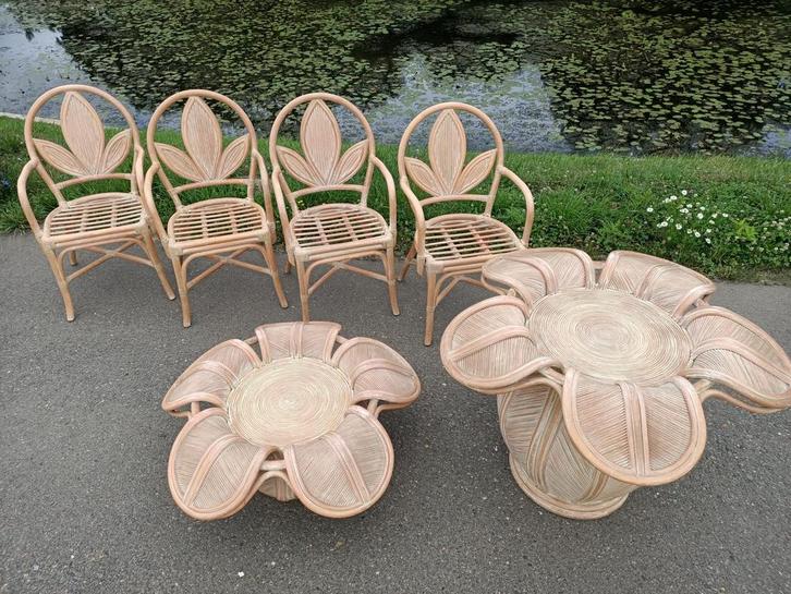 Exclusieve set | jaren 70 | eettafel, stoelen, salontafel, Tuin en Terras, Tuinsets en Loungesets, Zo goed als nieuw, Tuinset