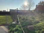 Omheinde bouwgrond, Immo, Zedelgem, Verkoop zonder makelaar, 500 tot 1000 m²