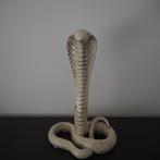 Décorative Slang, Ophalen