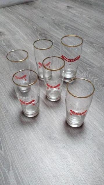 6 bierglazen Haacht/Haecht/Primus Super8 beschikbaar voor biedingen